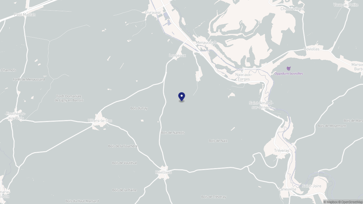 Aperçu cartographique de Nantois, centré sur la commune