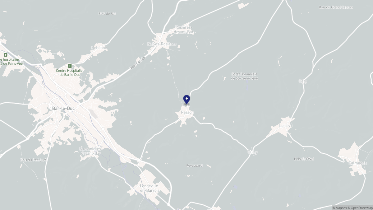 Aperçu cartographique de Resson, centré sur la commune