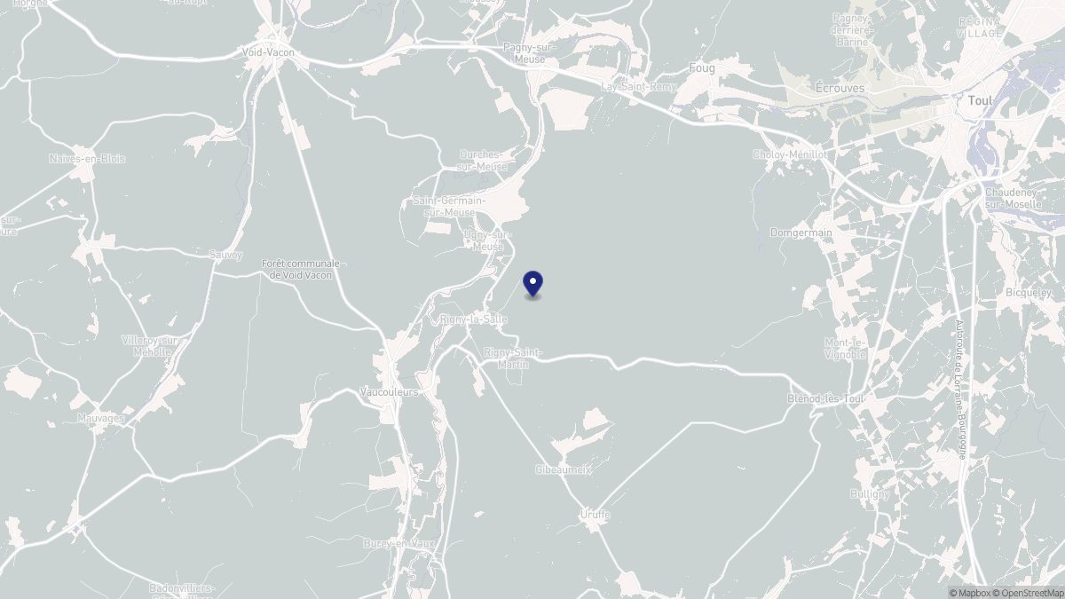 Aperçu cartographique de Rigny-la-Salle, centré sur la commune