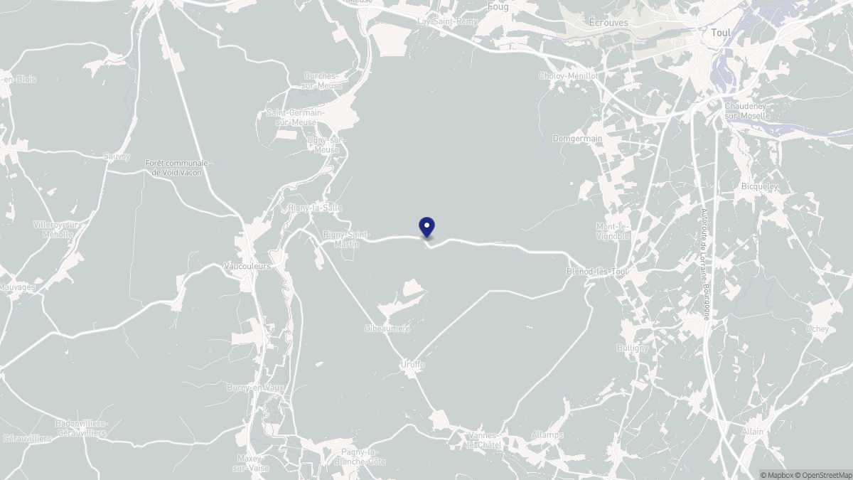 Aperçu cartographique de Rigny-Saint-Martin, centré sur la commune