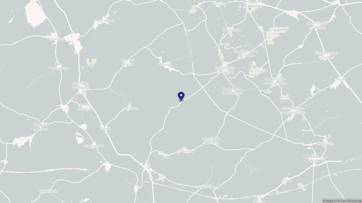 Aperçu cartographique de Vaux-lès-Palameix, centré sur la commune