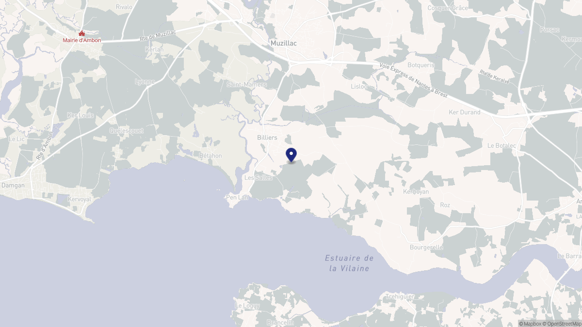 Aperçu cartographique de Billiers, centré sur la commune