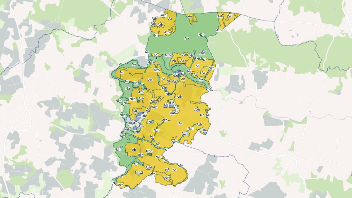 Aperçu cartographique de Brandivy, centré sur la commune