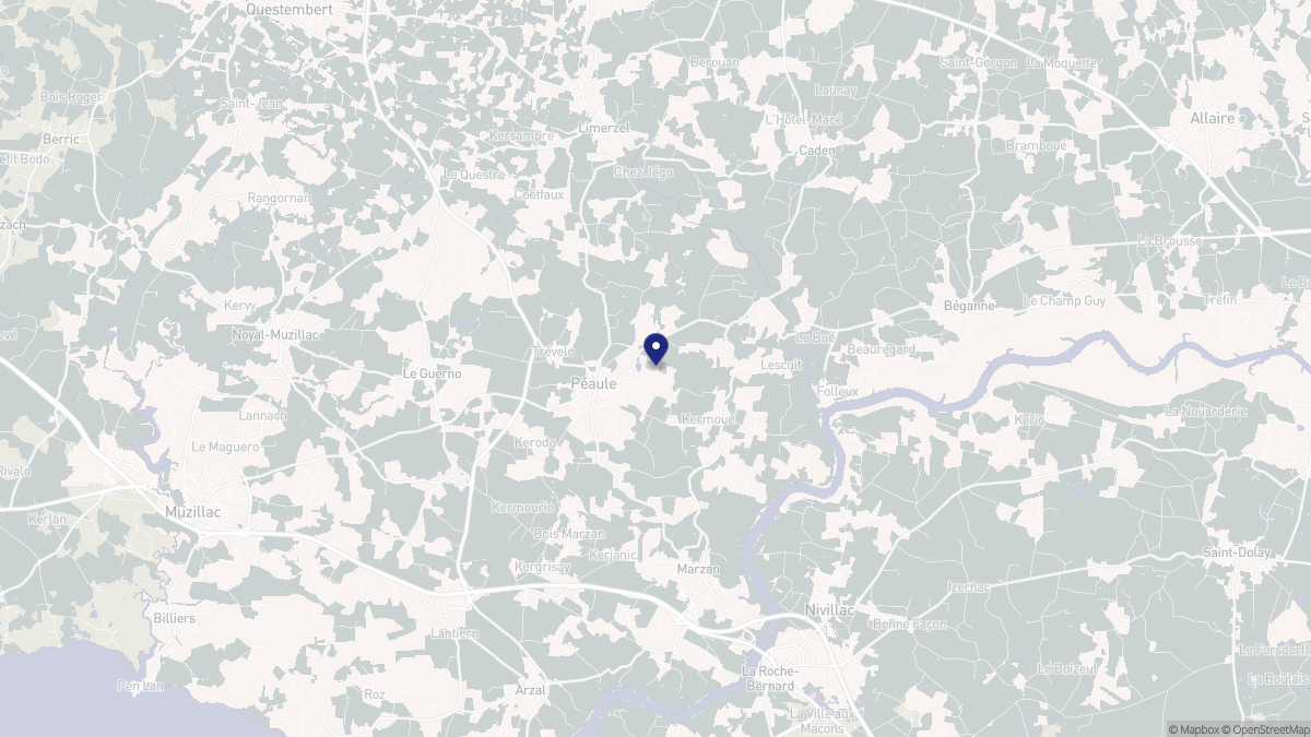 Aperçu cartographique de Péaule, centré sur la commune