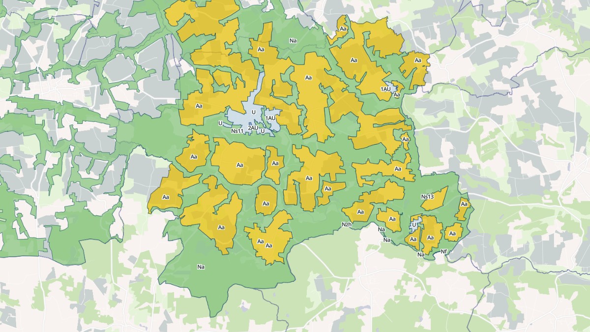 Aperçu cartographique de Plumelec, centré sur la commune