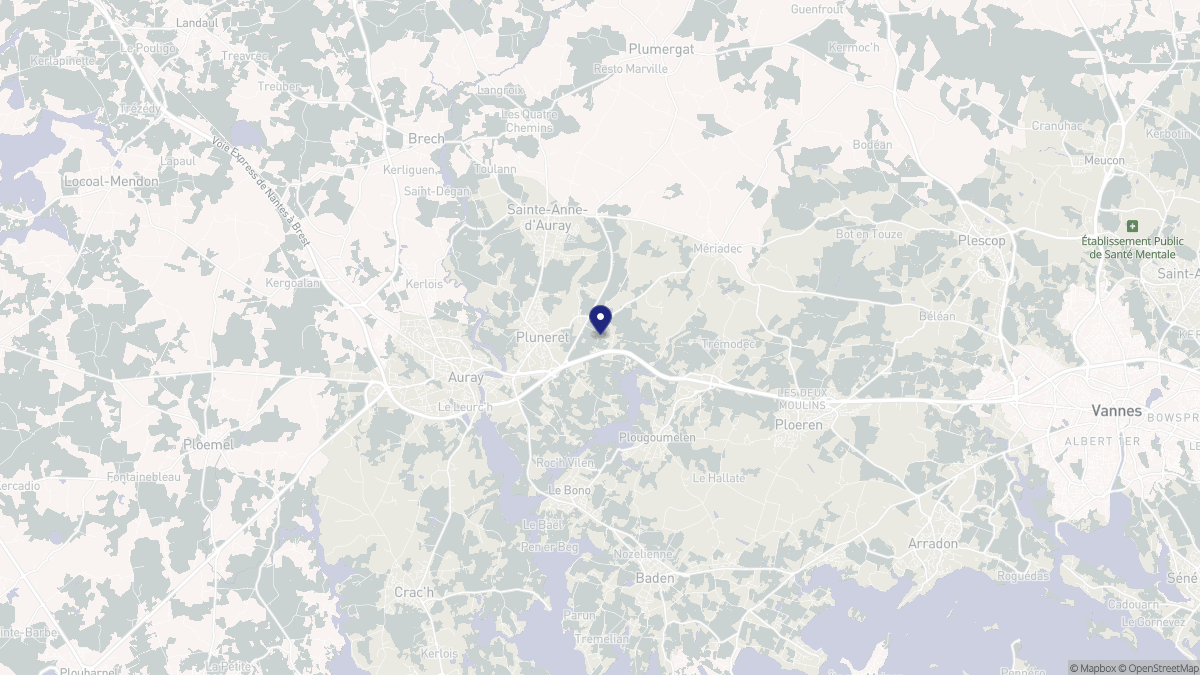 Aperçu cartographique de Pluneret, centré sur la commune