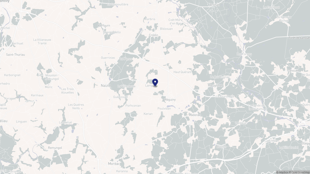Aperçu cartographique de Réguiny, centré sur la commune
