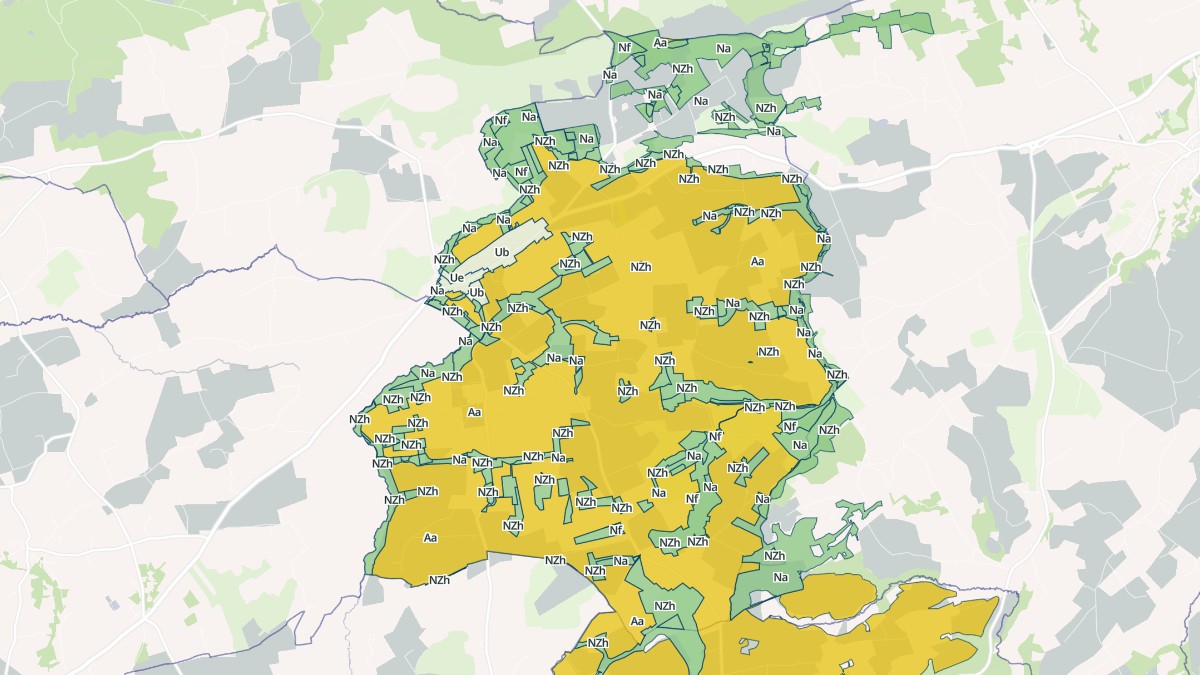 Aperçu cartographique de Roudouallec, centré sur la commune
