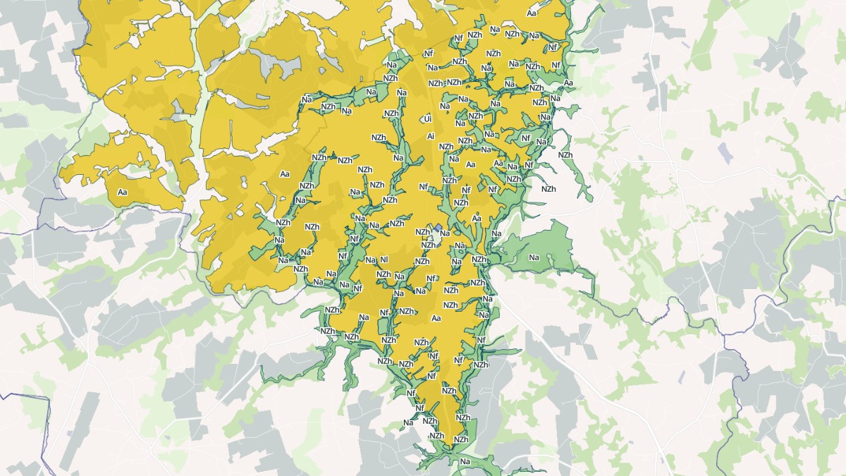 Aperçu cartographique de Le Saint, centré sur la commune