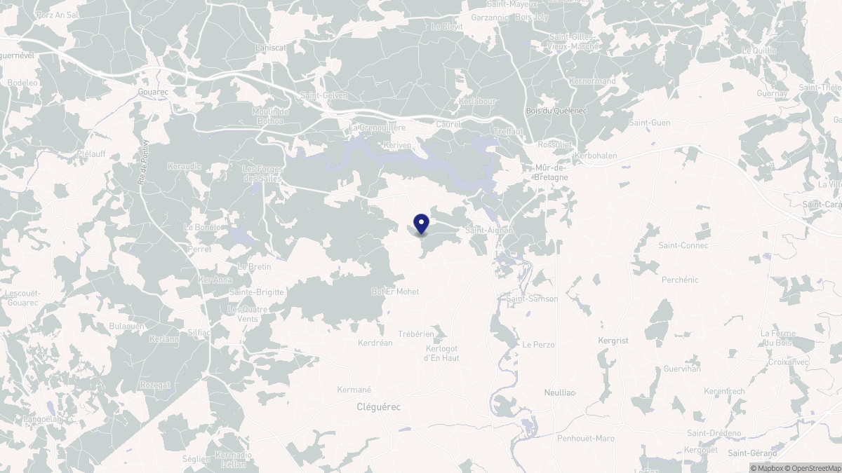 Aperçu cartographique de Saint-Aignan, centré sur la commune