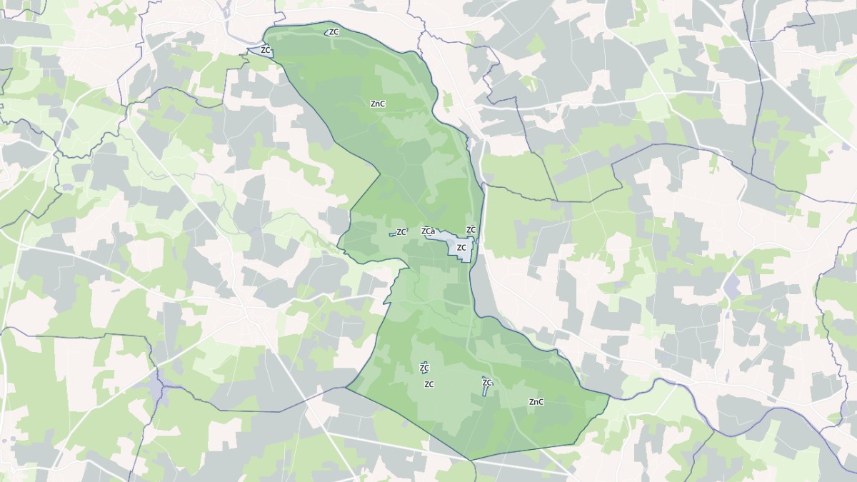 Aperçu cartographique de Saint-Congard, centré sur la commune