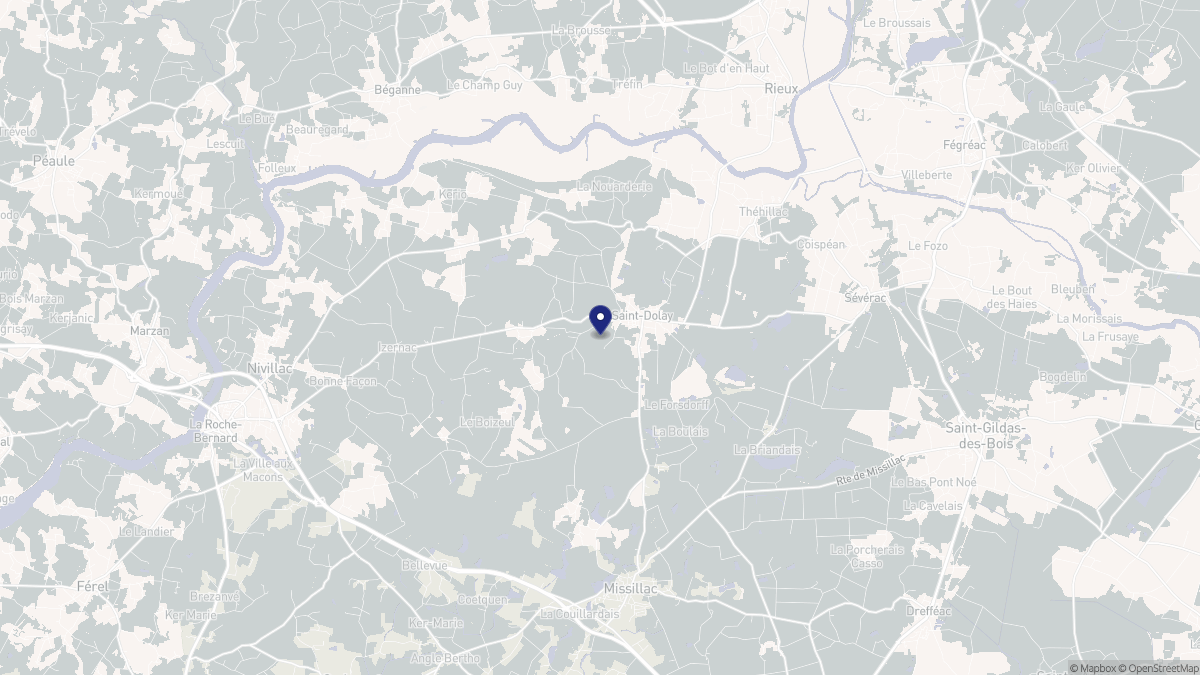 Aperçu cartographique de Saint-Dolay, centré sur la commune