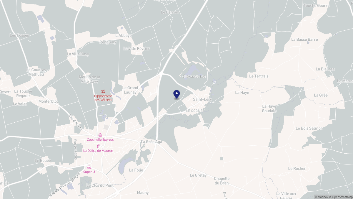 Aperçu cartographique de Saint-Léry, centré sur la commune