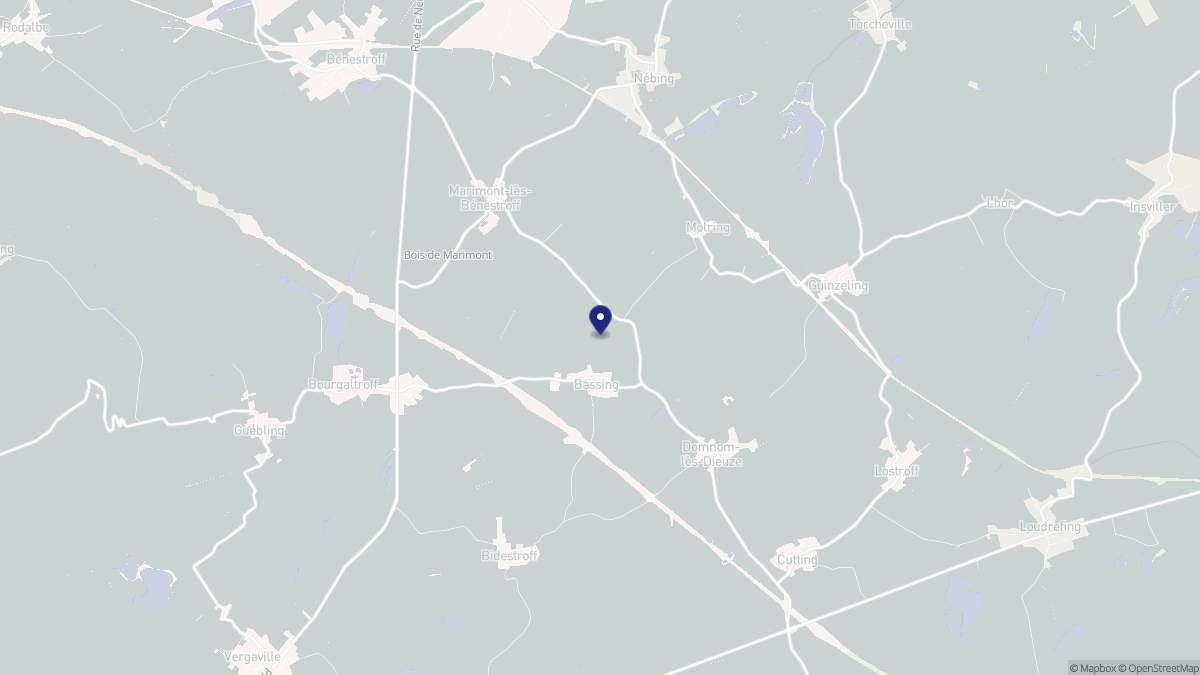 Aperçu cartographique de Bassing, centré sur la commune