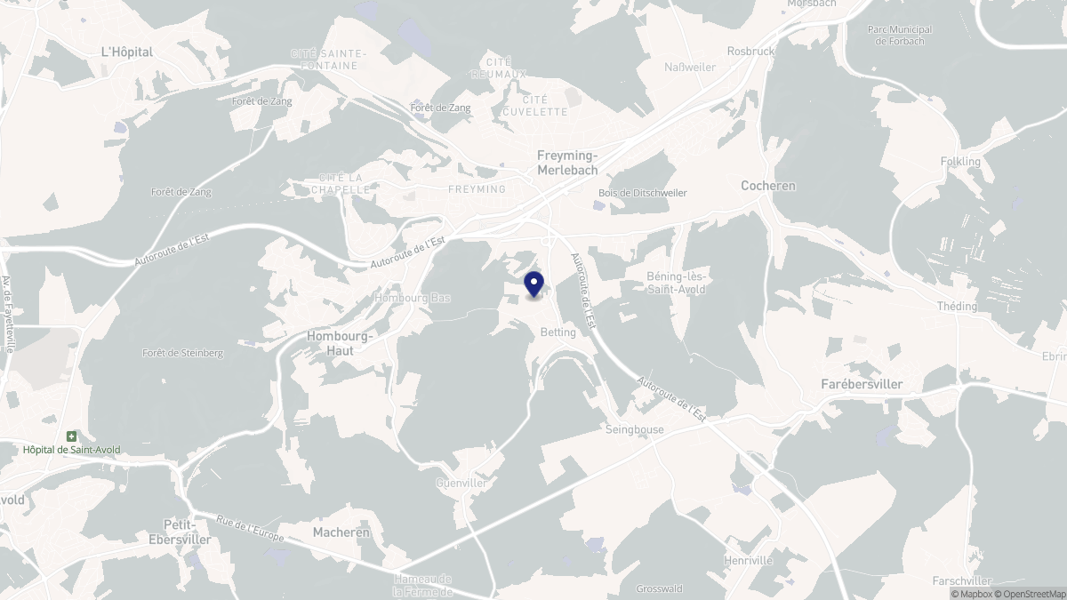 Aperçu cartographique de Betting, centré sur la commune