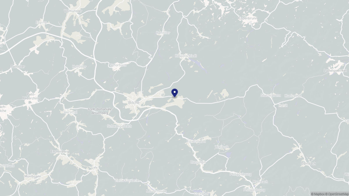 Aperçu cartographique de Bitche, centré sur la commune