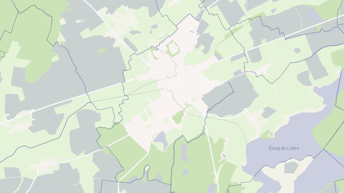 Aperçu cartographique de Dieuze, centré sur la commune