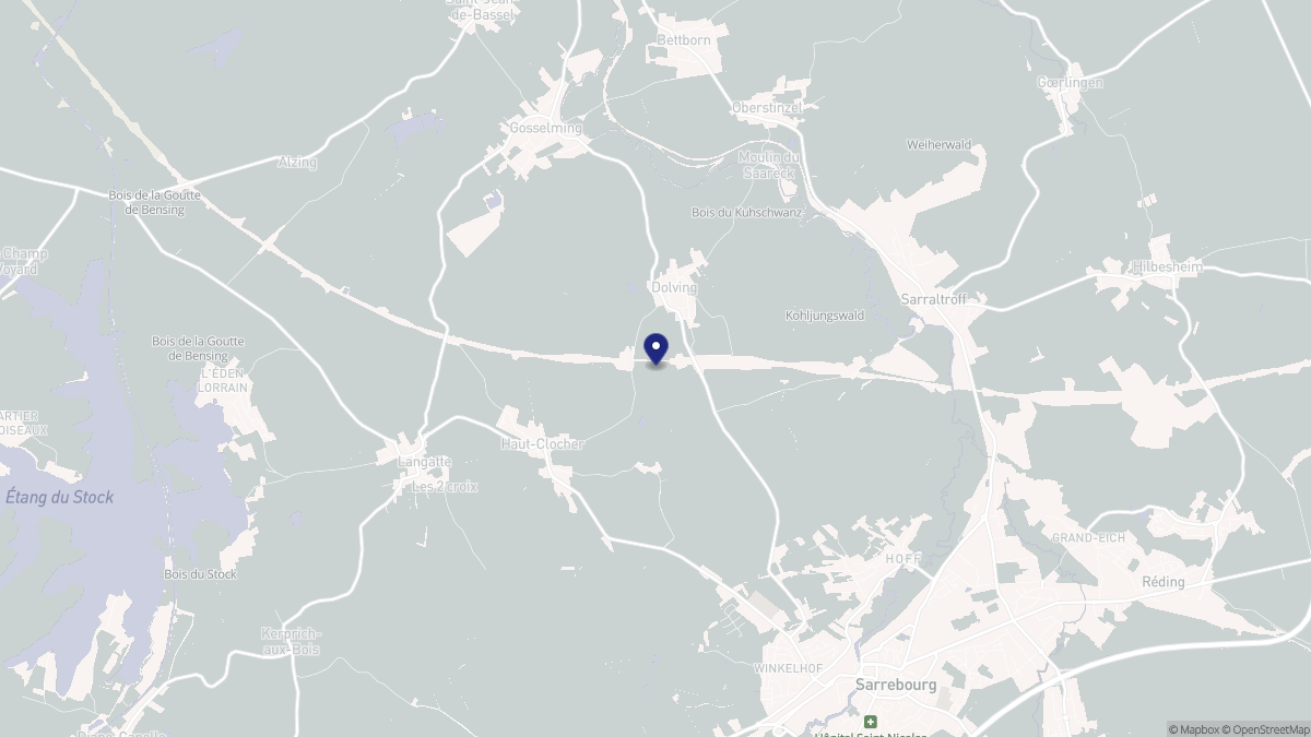 Aperçu cartographique de Dolving, centré sur la commune