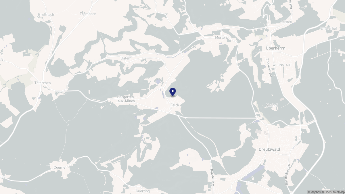 Aperçu cartographique de Falck, centré sur la commune