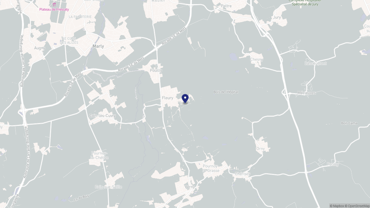 Aperçu cartographique de Fleury, centré sur la commune