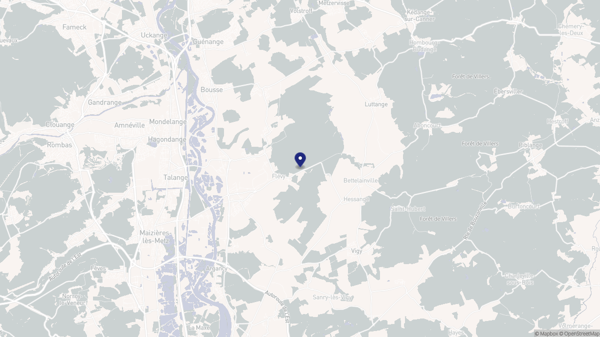 Aperçu cartographique de Flévy, centré sur la commune