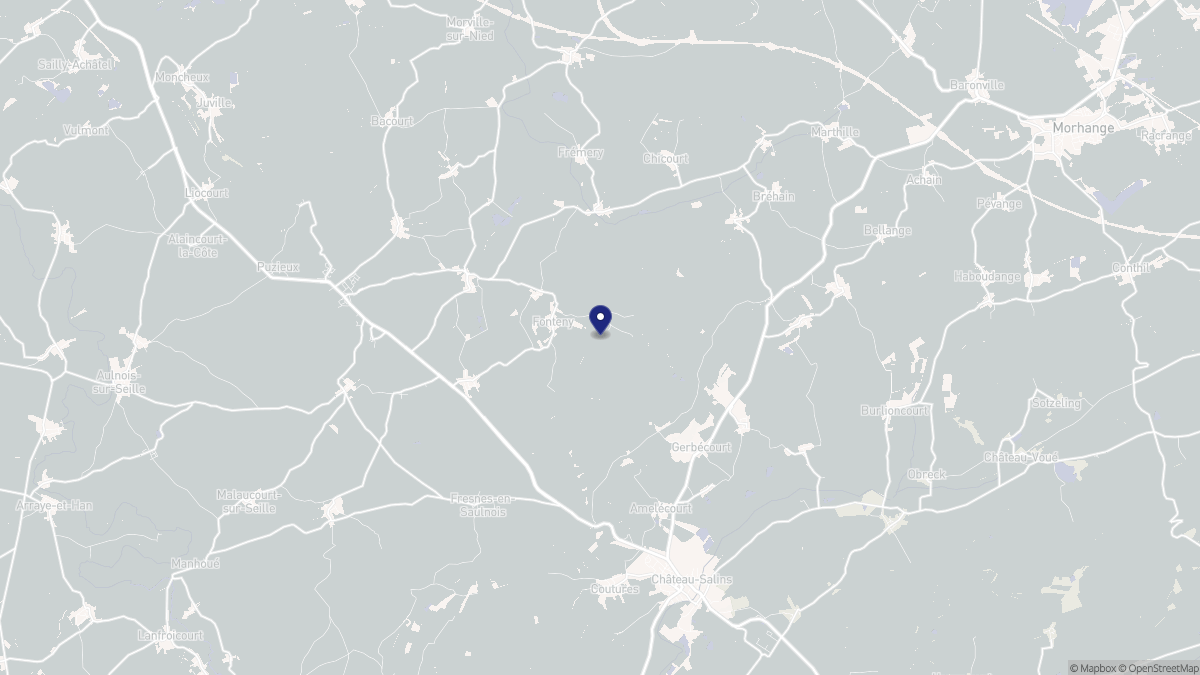 Aperçu cartographique de Fonteny, centré sur la commune