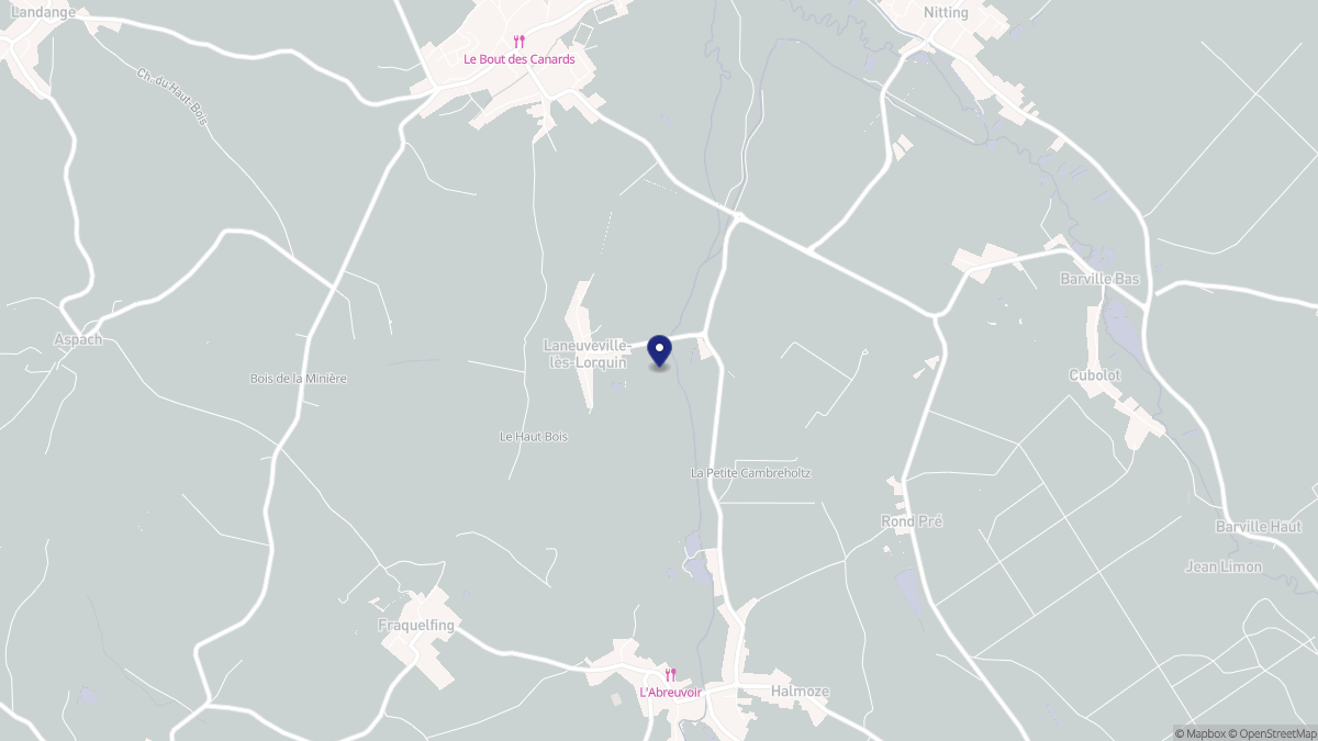 Aperçu cartographique de Laneuveville-lès-Lorquin, centré sur la commune