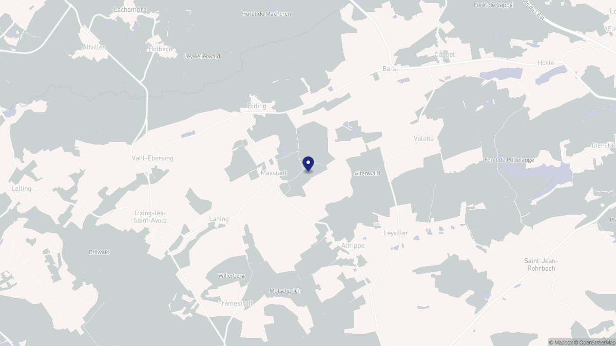 Aperçu cartographique de Maxstadt, centré sur la commune