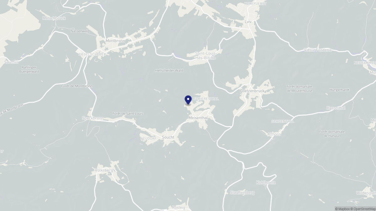 Aperçu cartographique de Meisenthal, centré sur la commune