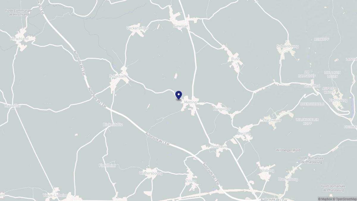 Aperçu cartographique de Metting, centré sur la commune