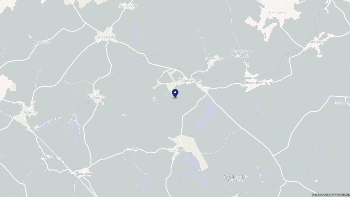 Aperçu cartographique de Munster, centré sur la commune