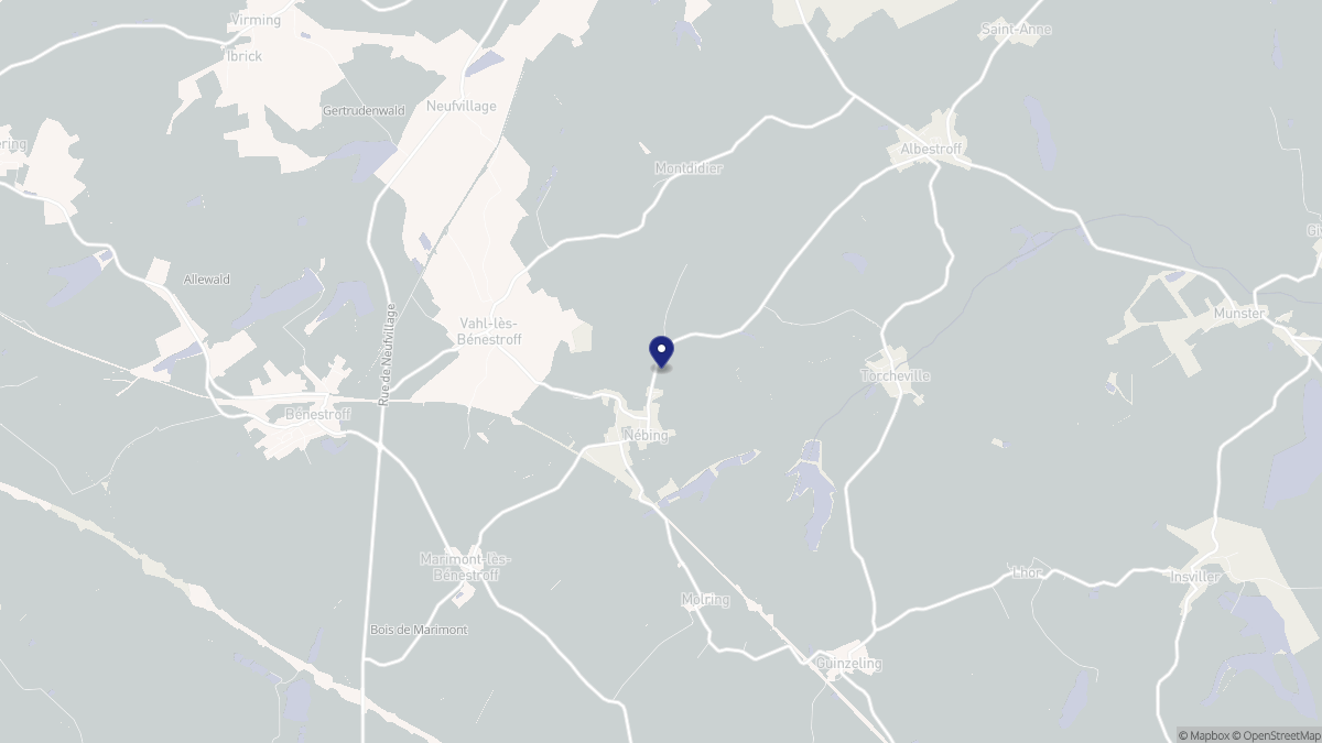 Aperçu cartographique de Nébing, centré sur la commune