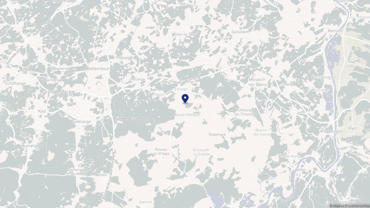 Aperçu cartographique de Basse-Rentgen, centré sur la commune