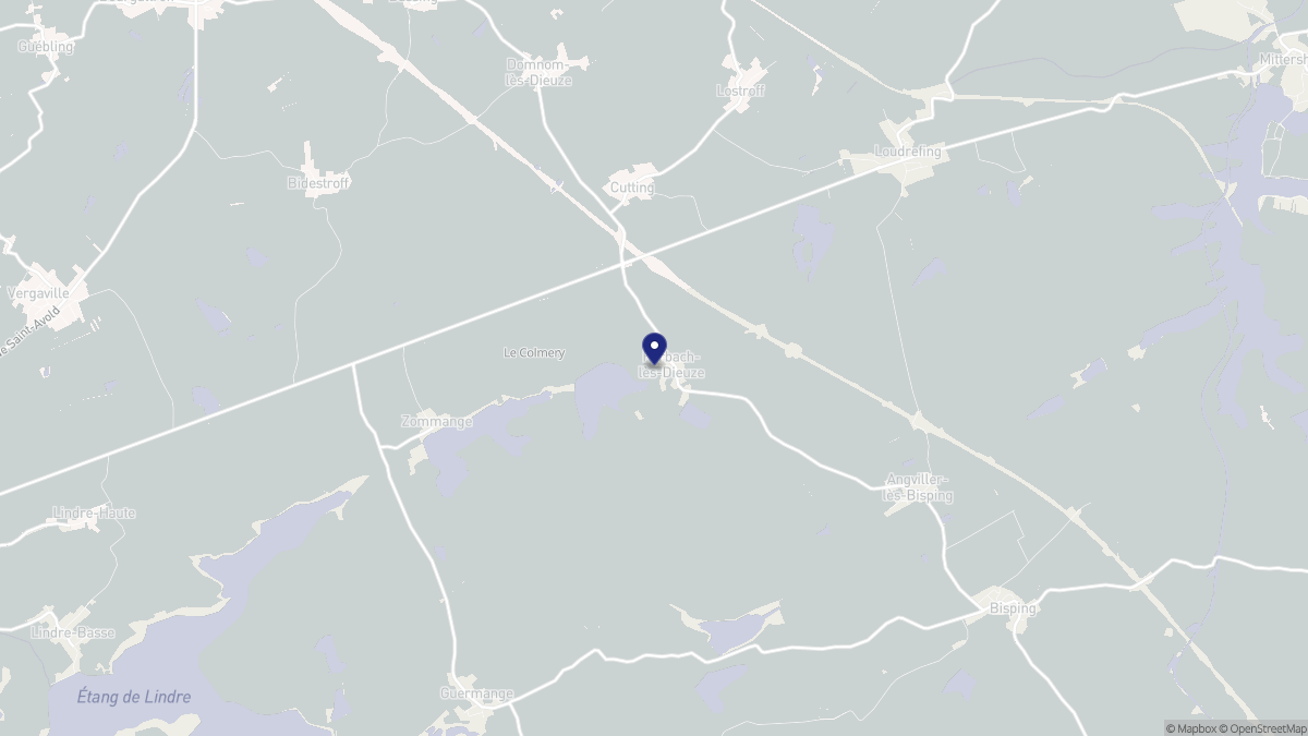 Aperçu cartographique de Rorbach-lès-Dieuze, centré sur la commune
