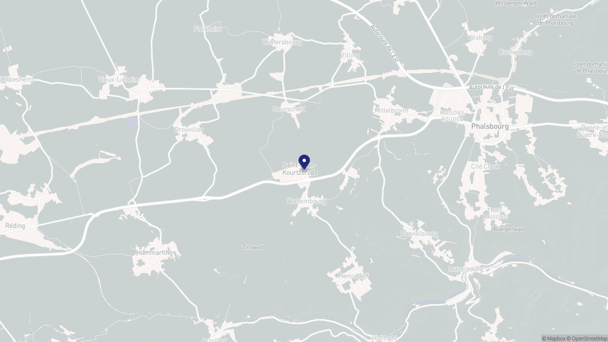 Aperçu cartographique de Saint-Jean-Kourtzerode, centré sur la commune