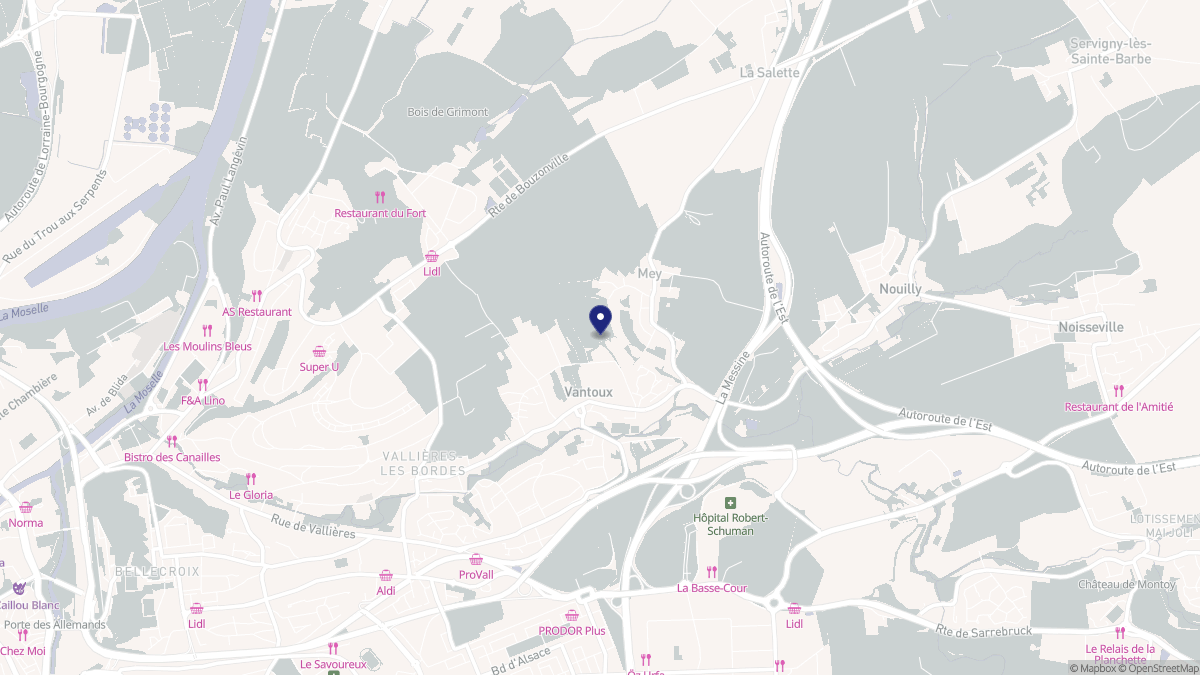 Aperçu cartographique de Vantoux, centré sur la commune