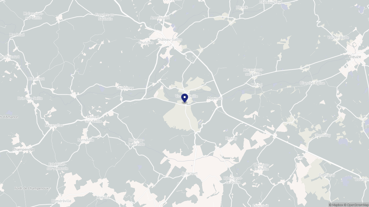 Aperçu cartographique de Vic-sur-Seille, centré sur la commune