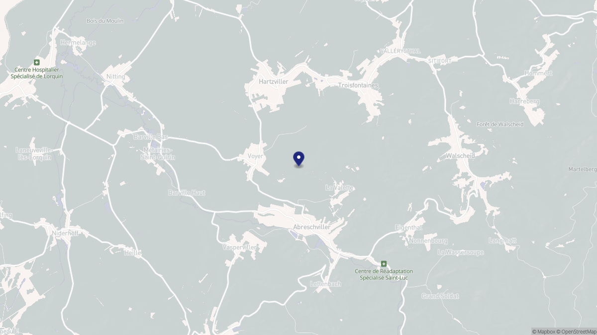 Aperçu cartographique de Voyer, centré sur la commune