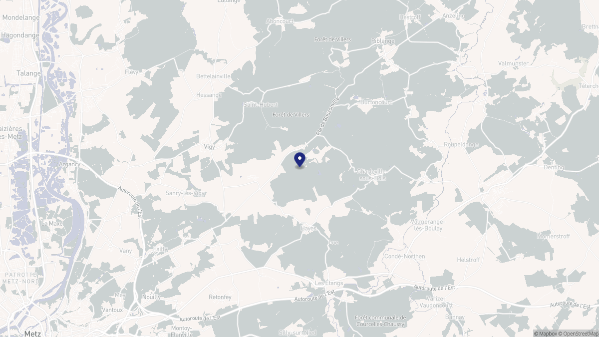 Aperçu cartographique de Vry, centré sur la commune