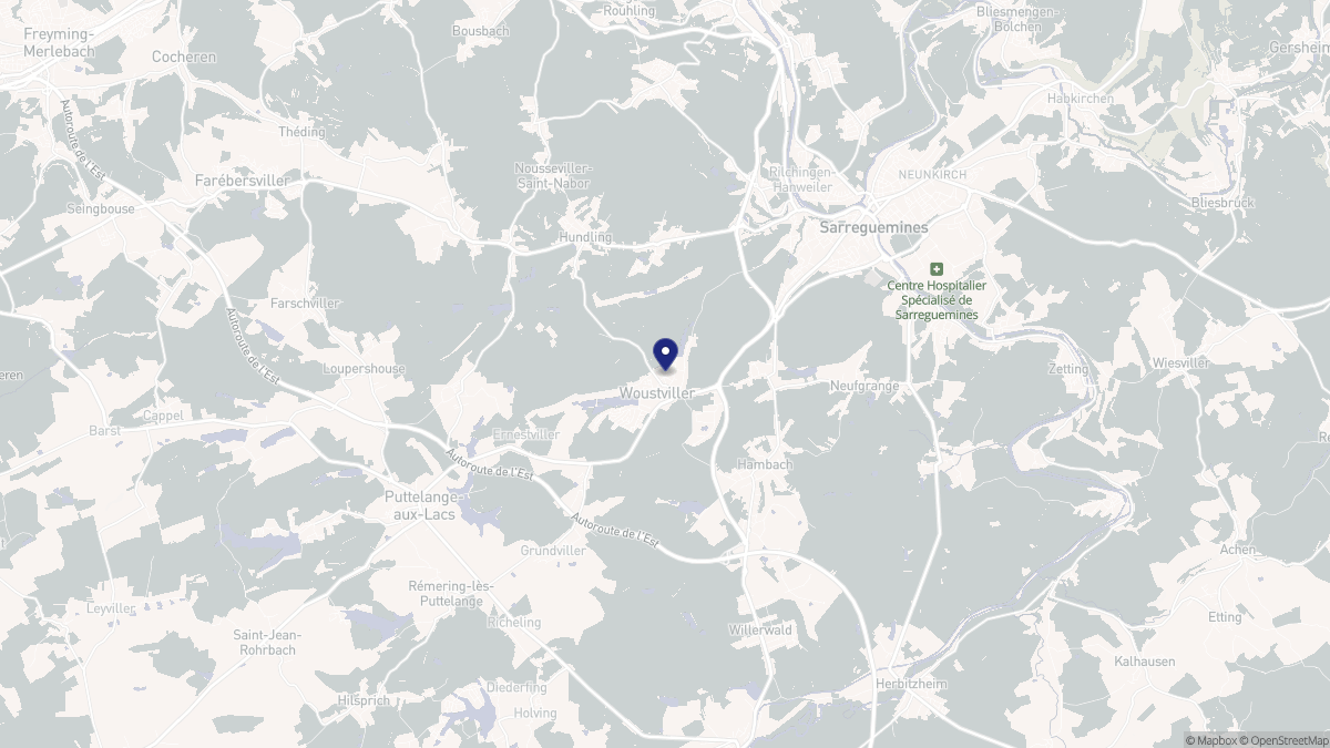 Aperçu cartographique de Woustviller, centré sur la commune