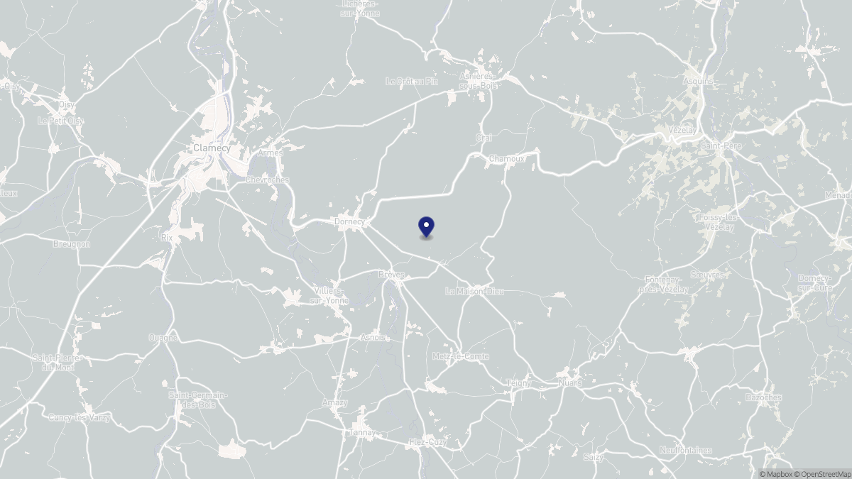 Aperçu cartographique de Brèves, centré sur la commune