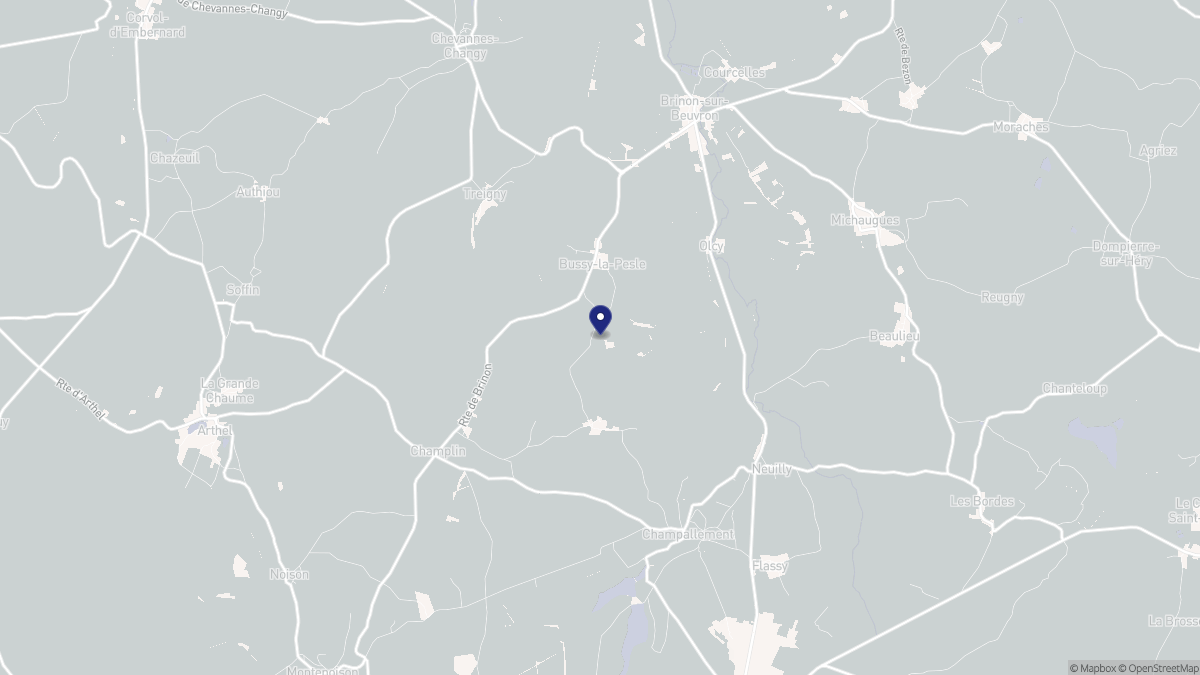 Aperçu cartographique de Bussy-la-Pesle, centré sur la commune