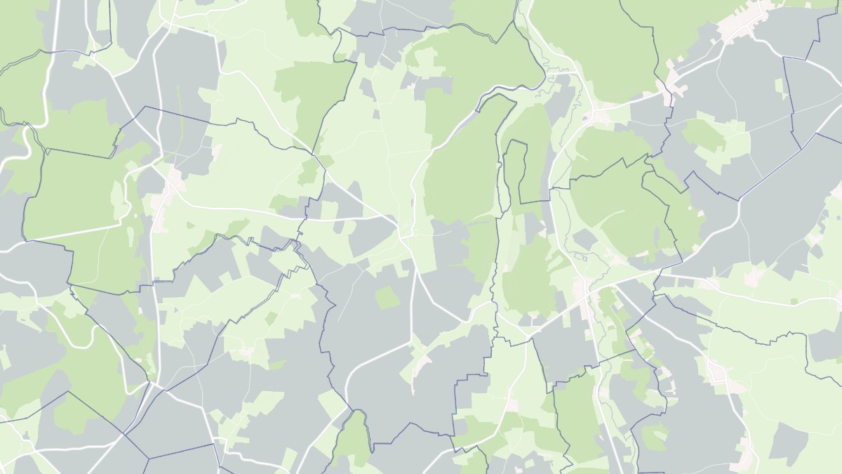 Aperçu cartographique de Chevannes-Changy, centré sur la commune