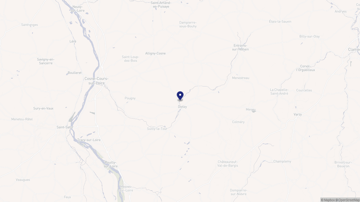Aperçu cartographique de Donzy, centré sur la commune