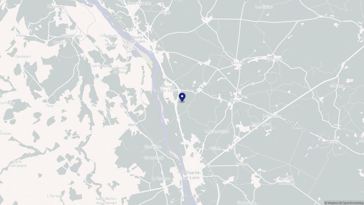 Aperçu cartographique de Mesves-sur-Loire, centré sur la commune