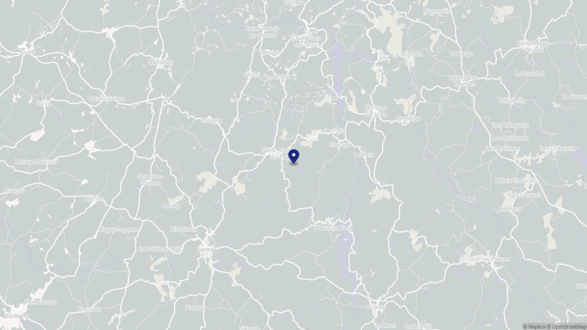 Aperçu cartographique de Saint-Martin-du-Puy, centré sur la commune