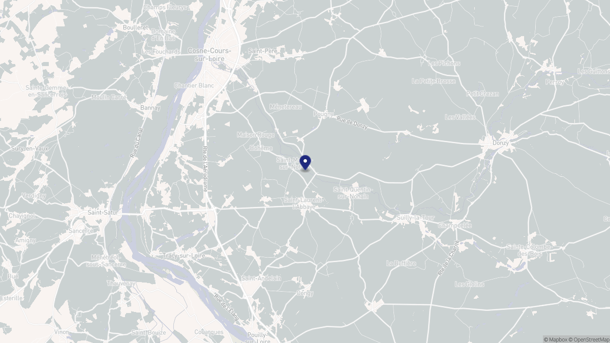 Aperçu cartographique de Saint-Martin-sur-Nohain, centré sur la commune