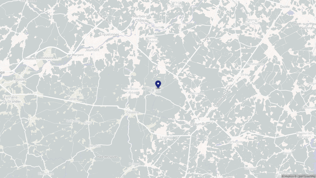 Aperçu cartographique de Bousignies-sur-Roc, centré sur la commune