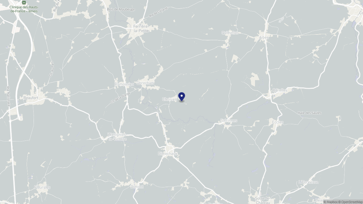 Aperçu cartographique de Choisies, centré sur la commune