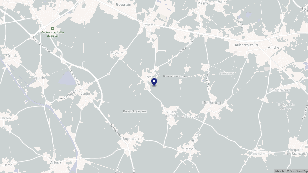 Aperçu cartographique de Erchin, centré sur la commune